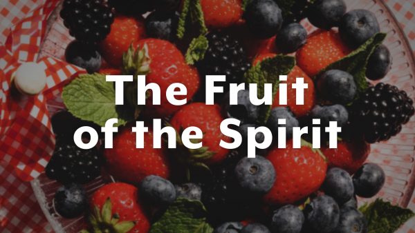 Introduction to the Fruit of the Spirit Image