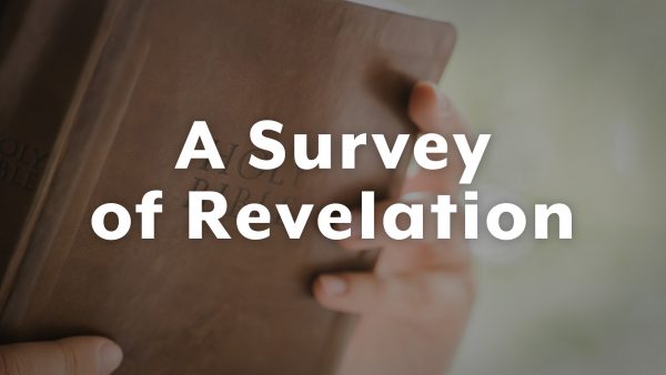 The 7 Major Characters \\ Recap of 4 Accounts of the Tribulation || A Survey of Revelation Image