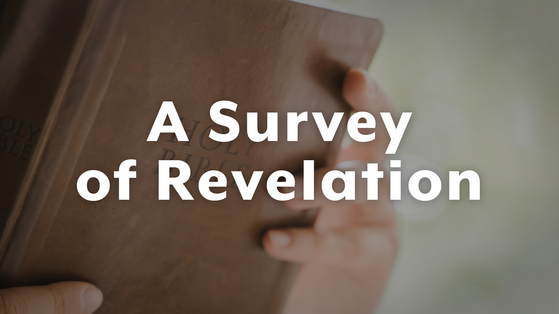 Survey of Revelation